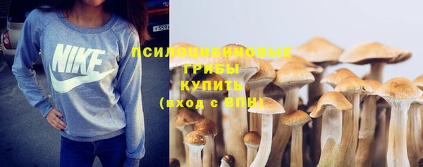 молекула духа Алексеевка