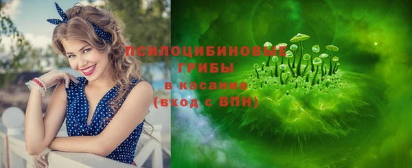молекула духа Алексеевка